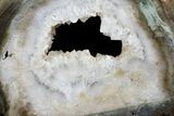 Zimbabwe Petrified Wood (Woodworthia) Round - Crystal Pocket #167941-1